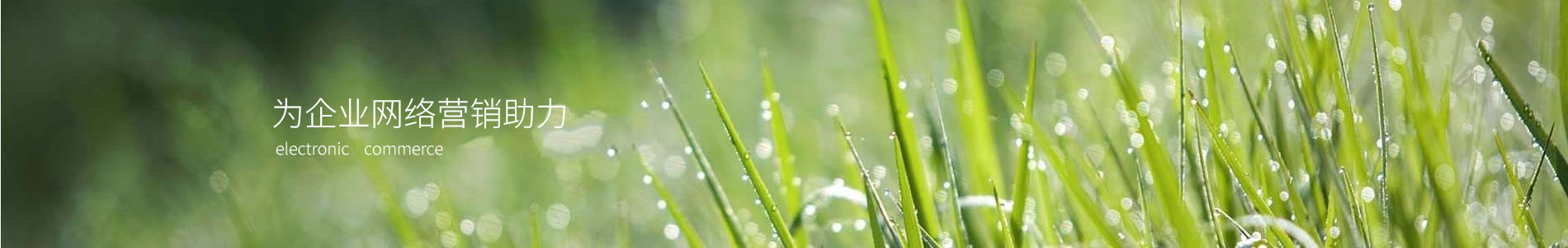 ѸܿƼ޹˾
